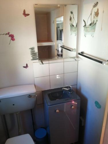 Location saisonnière / mobil-home 4-6 personnes