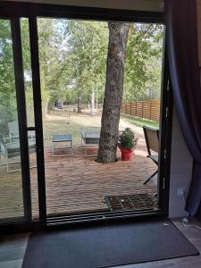 Lodge avec terrasse
