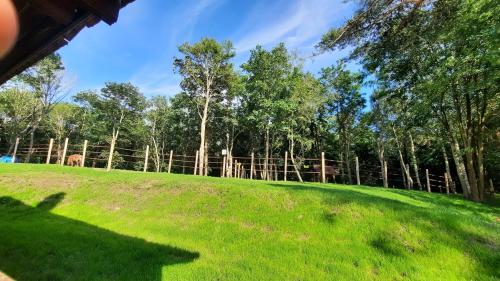 LOMAMÖKKI INSOLITE, Golf à pieds, forêt et plage !