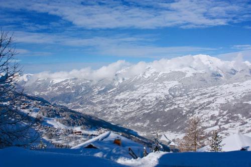Longue Vue