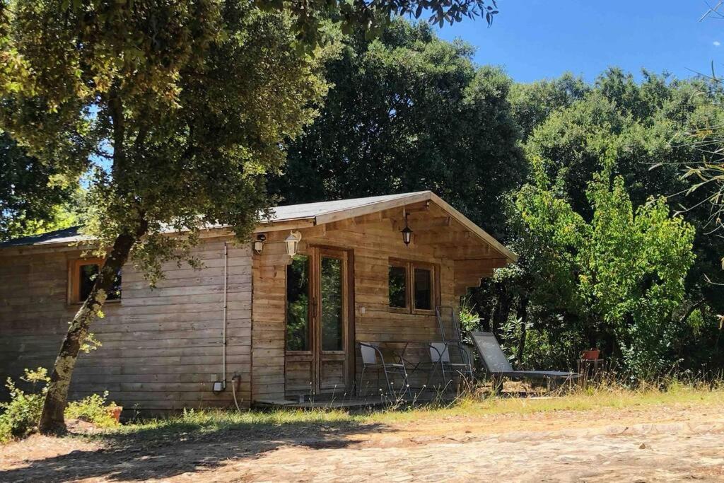 Chalet Ma petite cabane à la Roque sur Ceze Gites des oliviers Chemin des Combes 30200 La Roque-sur-Cèze