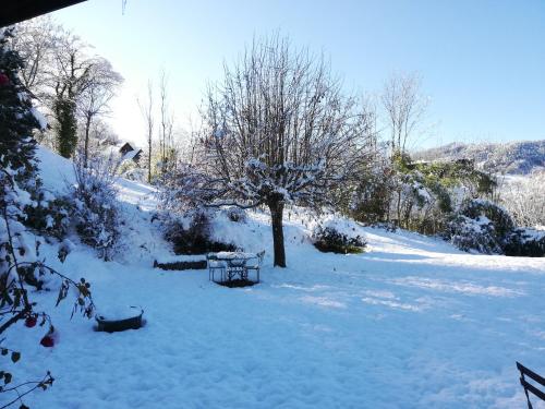 B&B / Chambre d'hôtes Chalet Mad'in Belledonne Impasse de la Serve Theys