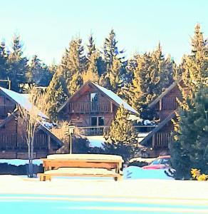 Maison de bois finlandaise au pied des pistes