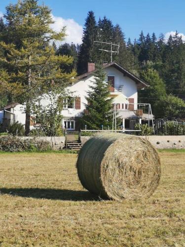 Maison de campagne. Accès direct au lac.