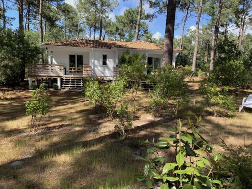 Chalet Mavalear naturiste La Jenny Le Porge france