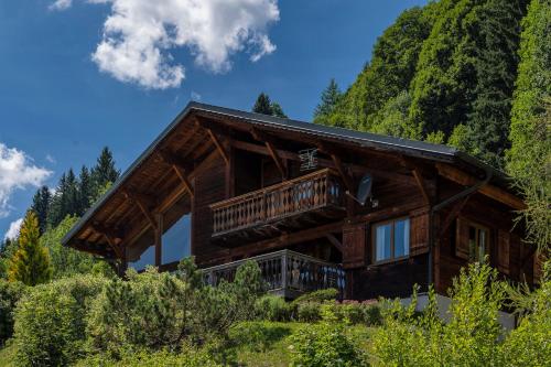 Chalet Meleze Les Gets france