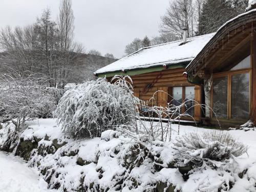 Chalet Chalet Michka Domaine Buckey Lodge [Cledicihome] 7 Chemin de la Scie Tendon