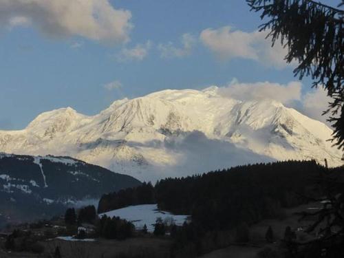 Chalet Mireneige charme et confort face au Mont Blanc Combloux france