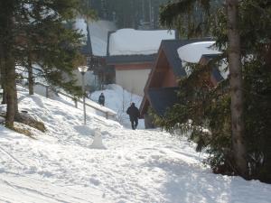 Mountain Chalet in Oz en Oisans with Lovely Views over Lake