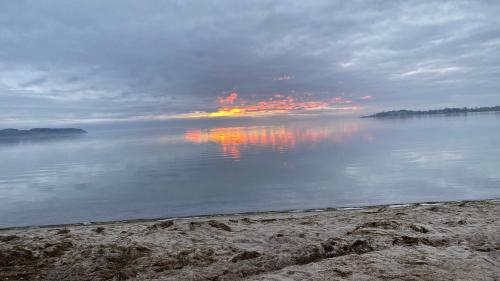 Appartement Chalet Möwenblick Rügen mit Meerblick, Sauna und Kamin 24 Alt Reddevitz Alt Reddevitz