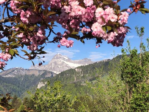 Chalet Chalet Nanook 79 impasse des Aravis Notre-Dame-de-Bellecombe