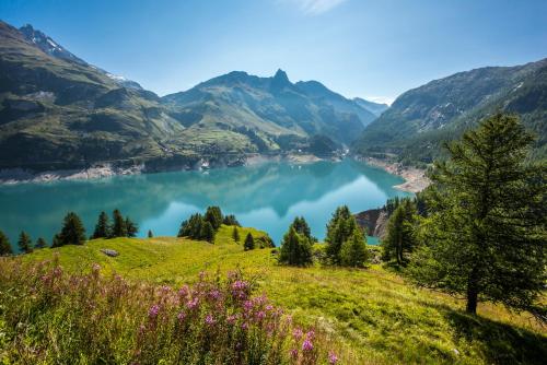 Chalet Chalet Opale Les Almes Tignes