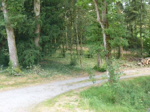 Chalet Pied de Mouton Comblessac france