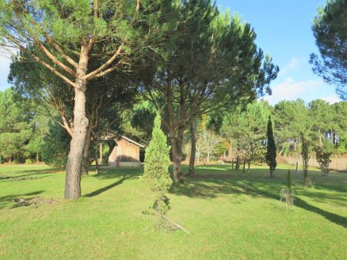 Chalet Chalet Pierroulet  Messanges