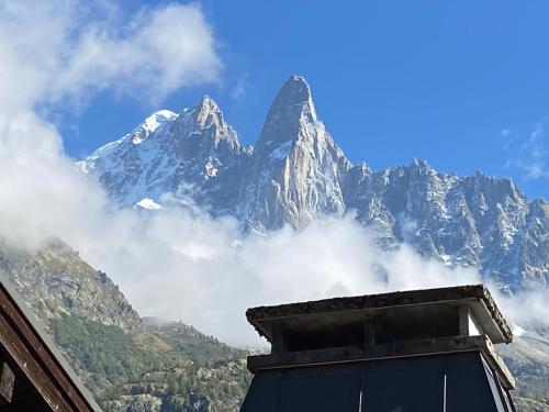 Appartements Chalet Pleine Vue & Spa 299 CHEMIN DU BETTAIX Chamonix-Mont-Blanc