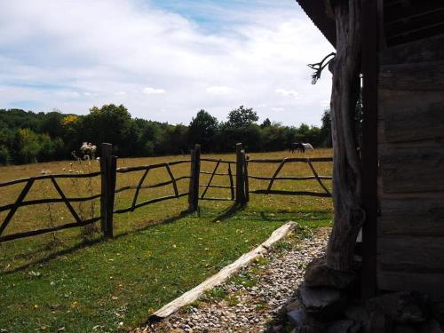 Privéparadijs,Houtvuur,Ongerepte natuur, Ardennen.