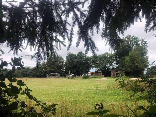Privéparadijs,Houtvuur,Ongerepte natuur, Ardennen.