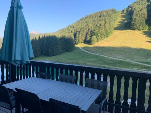 Chalet proche Morzine et lac Léman WIFI offert Le Biot france
