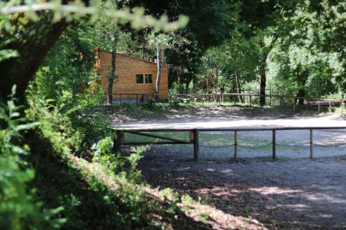 Quinta do Castro Wood House