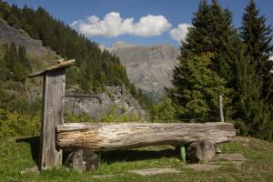 Reine des Aravis - chalet isolé