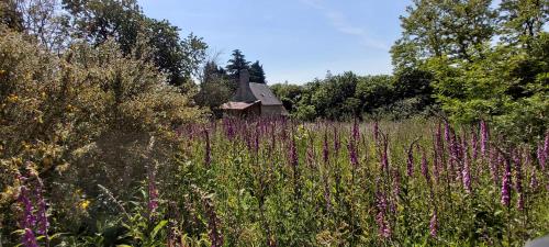 Remote country house Normandy