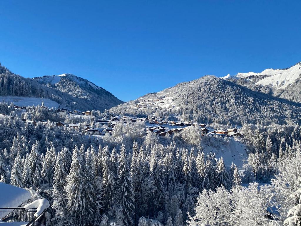 Ride and Breakfast 72 Route de Morzine, 74110 Montriond