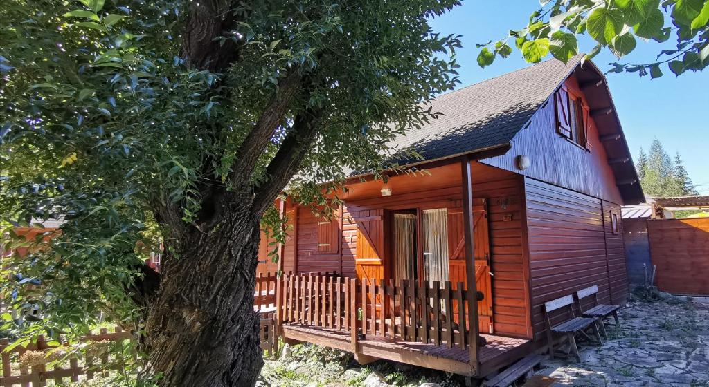 Chalet Rosebud, adorable et confortable petit chalet Lotissement Motel des Neiges, Chalet n°22 04850 Jausiers