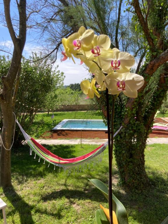 Roulottes & SPA du pont des charrettes 9 Chemin du Moulin de Bargeton, 30700 Uzès