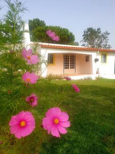 Chalet Sondela Self Catering Estrada da Cumeira 2460-699 São Martinho do Porto Région Centre