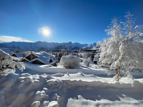 Chalet spacieux et convivial LA TOUSSUIRE La Toussuire france