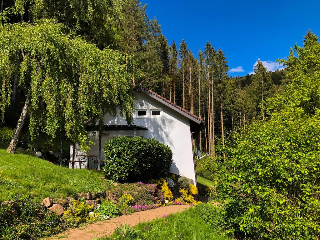 Chalet Surrbach Chalet 105 Falkenstraße 72270 Baiersbronn