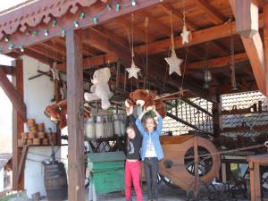 Tidy chalet with dishwasher, in the High Vosges