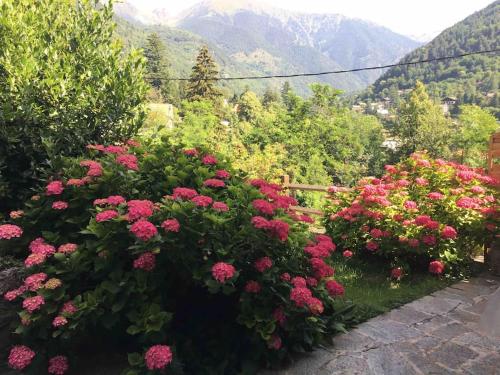 Très beau chalet à Saint Martin de Vésubie