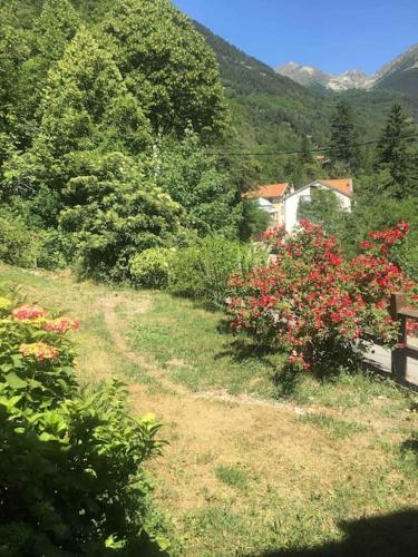 Très beau chalet à Saint Martin de Vésubie
