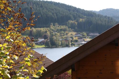 Appartement Chalet Vosgien 7c chemin du village vosgien Gérardmer