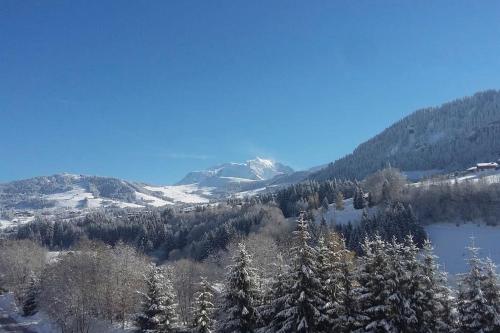 Chalet vue Mont-Blanc, +4 Chambres, cheminée Megève france