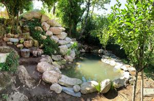 Welcome to Gerês-Green view