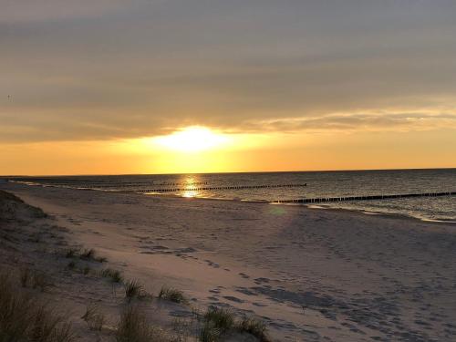 chalet Zingst Zingst allemagne