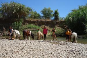 Chalets 16 chemin des ratequats ferme équestre 16 chemin des ratequats 11120 Mirepeisset Languedoc-Roussillon