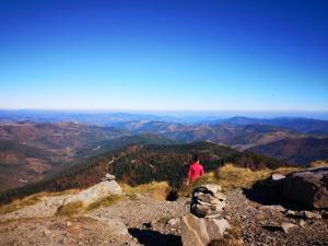 Chalets Bel'Horizon Méalet Saint Pal de Chalencon 43500 Saint-Pal-en-Chalençon Auvergne