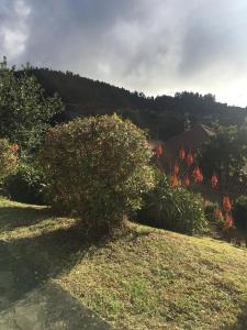 Bungalows Do Amparo