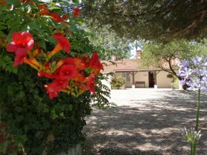Camping La Loire Fleurie