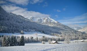 Chalet Cannelle