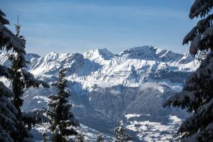 Chalet F'Net