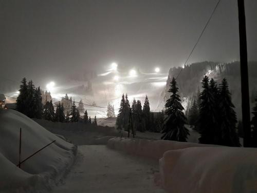 CHALET-SPA SUR LES PISTES 10 Personnes