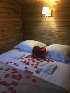 Chalet Vezzani Spa