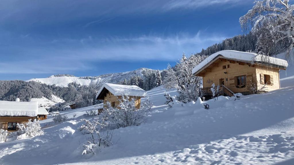 Chalets Savoie Le Coin, 73590 Notre-Dame-de-Bellecombe