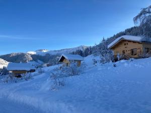 Chalets Savoie