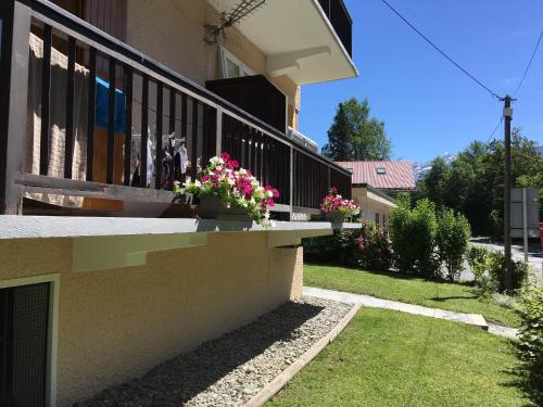 Fizhome Mt Blanc