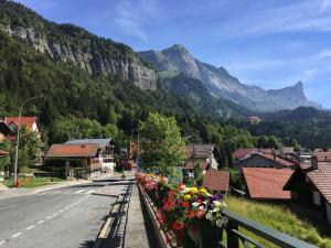 Fizhome Mt Blanc
